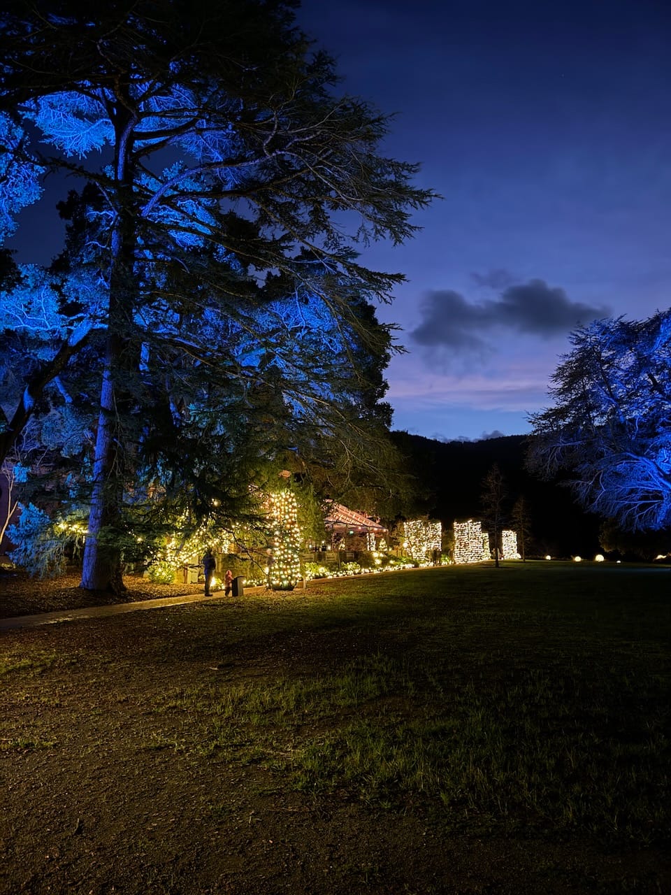 Lighting Up Memories: A Night at Filoli