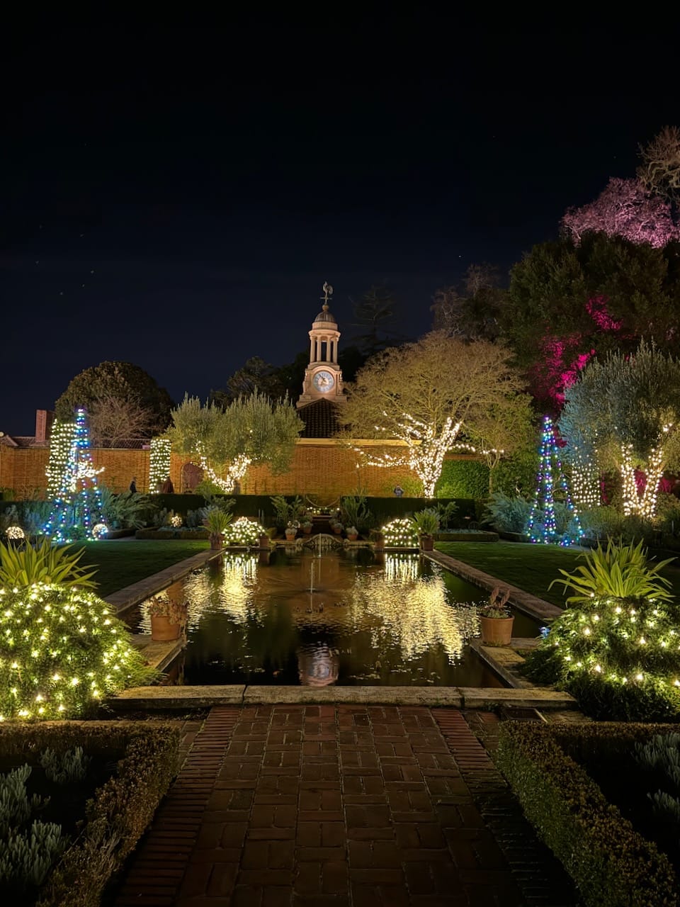 Lighting Up Memories: A Night at Filoli