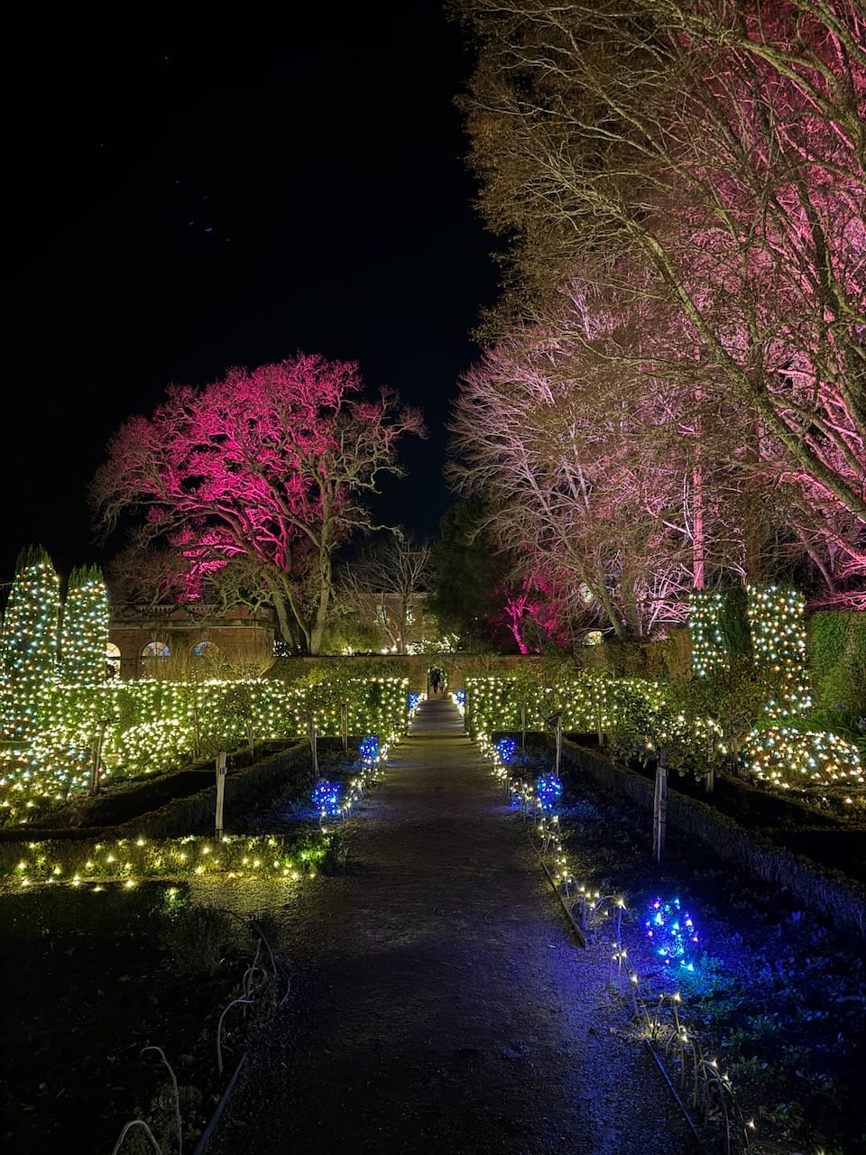 Lighting Up Memories: A Night at Filoli