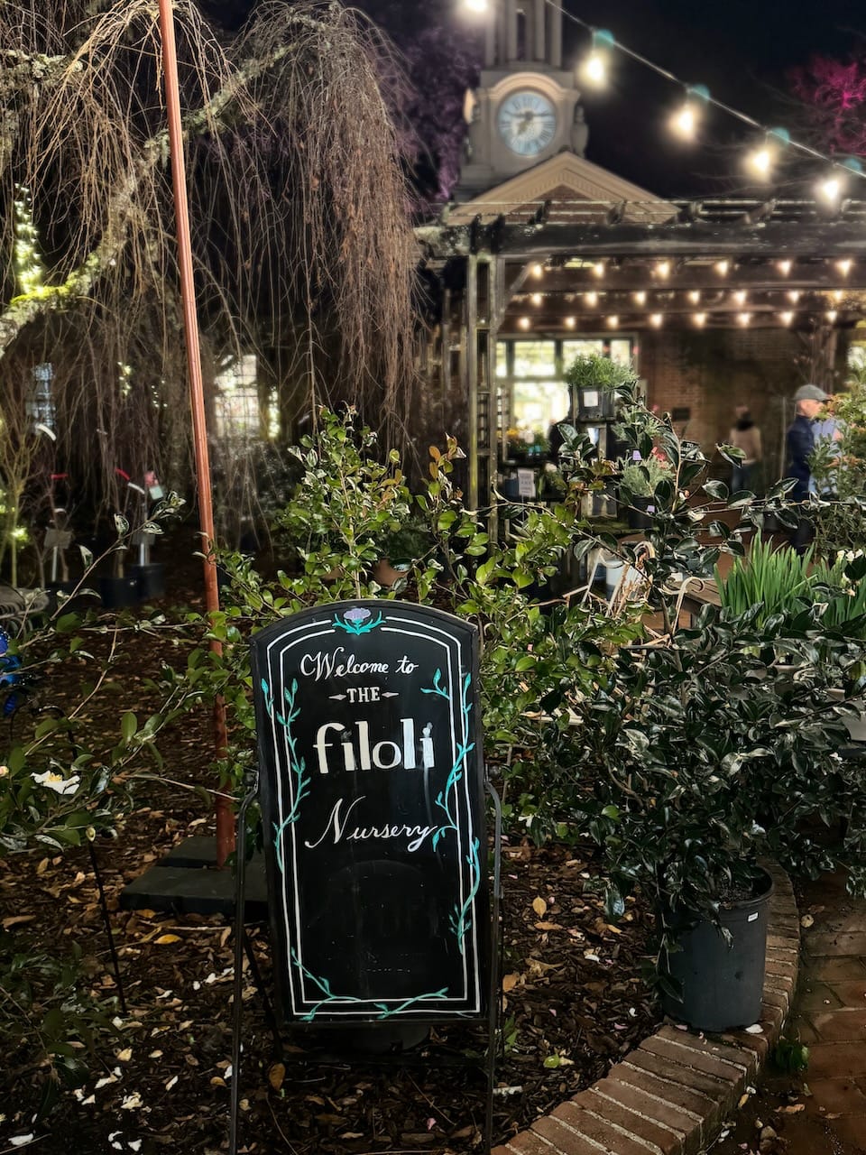 Lighting Up Memories: A Night at Filoli