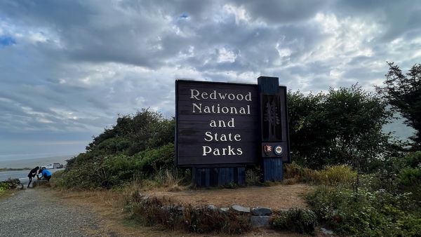 Redwood National and States Parks